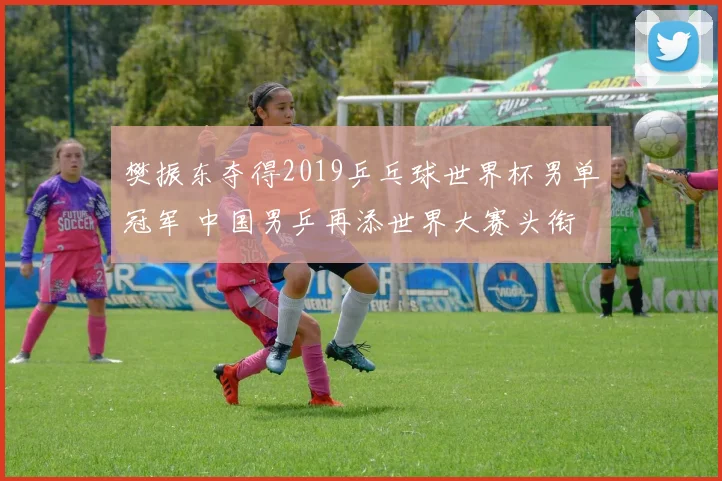 樊振东夺得2019乒乓球世界杯男单冠军 中国男乒再添世界大赛头衔