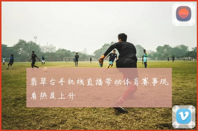 翡翠台手机线直播带动体育赛事观看热度上升