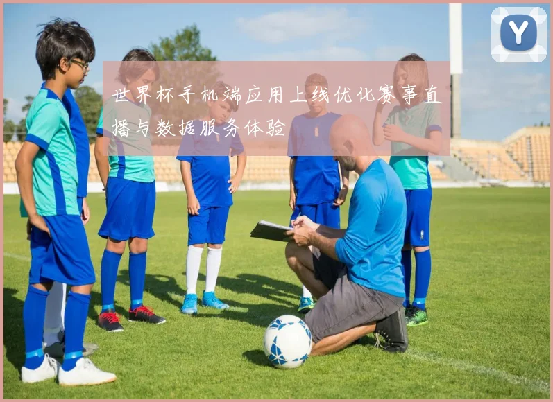 世界杯手机端应用上线优化赛事直播与数据服务体验