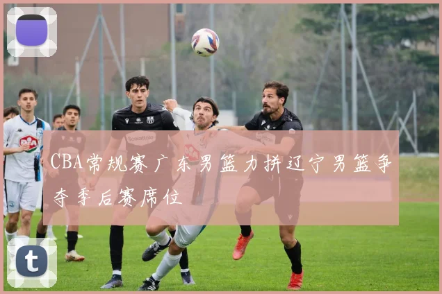 CBA常规赛广东男篮力拼辽宁男篮争夺季后赛席位