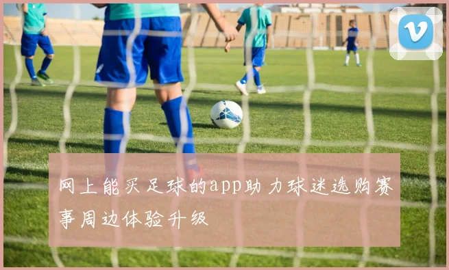 网上能买足球的app助力球迷选购赛事周边体验升级