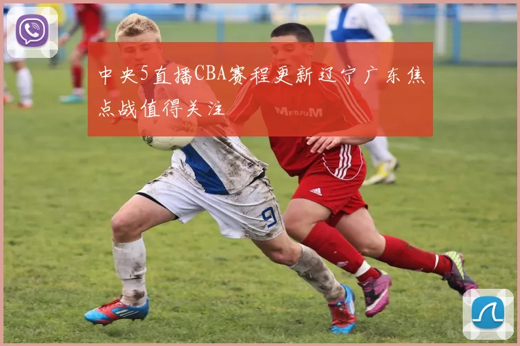 中央5直播CBA赛程更新辽宁广东焦点战值得关注